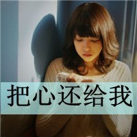 口袋妖怪釉色汉化最新版下载