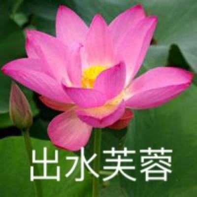 叫我霸道总裁手机版下载